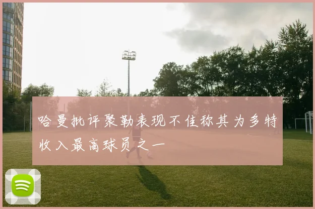哈曼批评聚勒表现不佳称其为多特收入最高球员之一