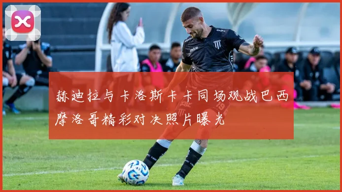 赫迪拉与卡洛斯卡卡同场观战巴西摩洛哥精彩对决照片曝光