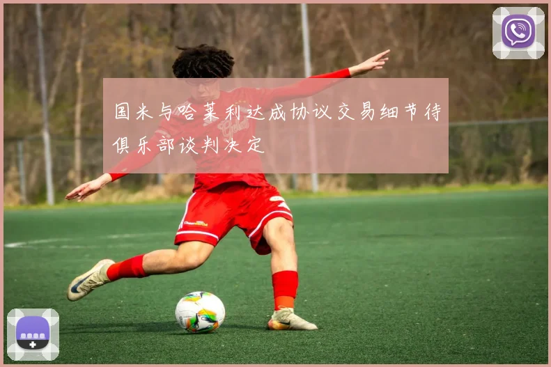 国米与哈莱利达成协议交易细节待俱乐部谈判决定